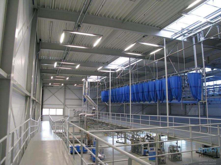 hak4t-2371-Hakvoort kunstlicht_ Carré_ Industriele verlichting_ Moderna (7)