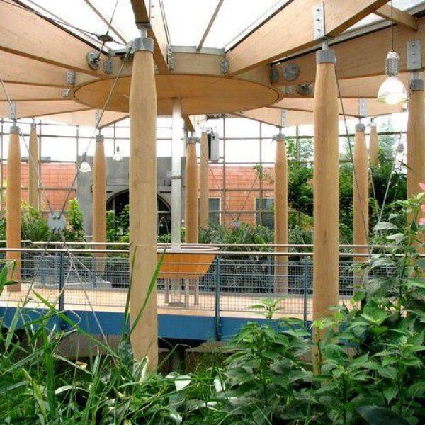 hak4t-2211-Hakvoort daglicht_Piramide_ Wildlands Emmen (7)