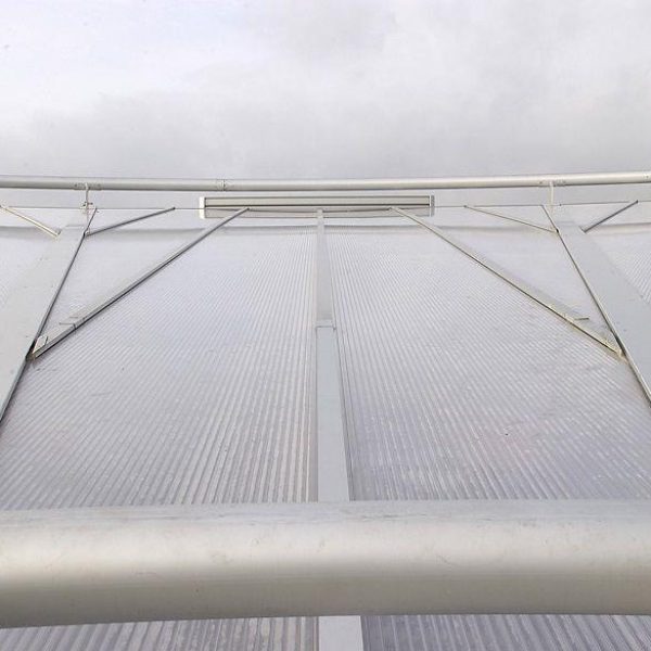 hak4t-2215-Hakvoort daglicht_Piramide_ Wildlands Emmen (3)