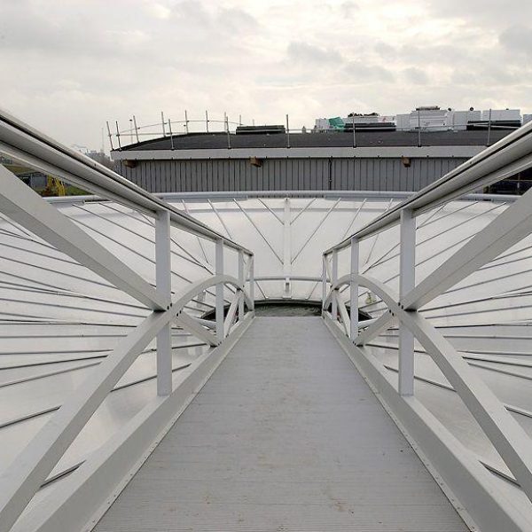 hak4t-2216-Hakvoort daglicht_Piramide_ Wildlands Emmen (2)